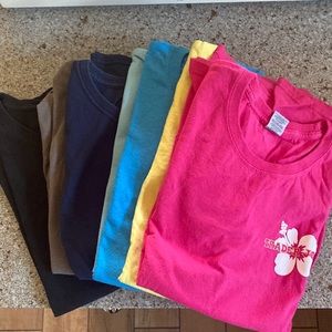 Trader Joe's BUNDLE of 7 size small short sleeve tees